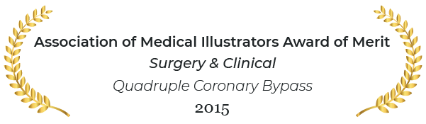Association of medical illustrators award of merit in surgery and clinical