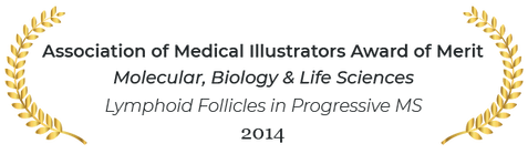 Association of medical illustrators award of merit in molecular, biology and life sciences 